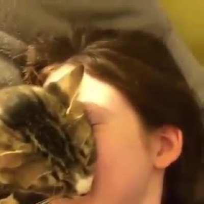 When you love your hooman so much 😻