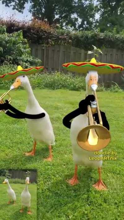 Lo vi en el otro subreddit y tenia que compartirlo