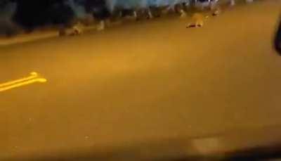 I've never seen so many in one place. (OC)