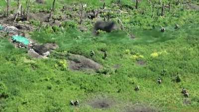 I couldn't help it guys