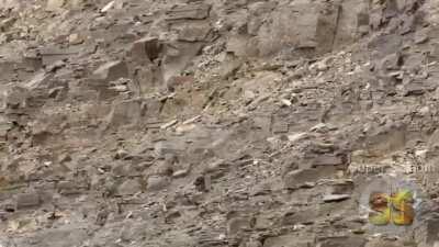 WCGR jumping of a cliff too early