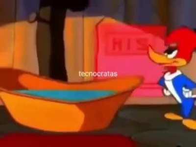 Porra pica-pau! Eu te admirava