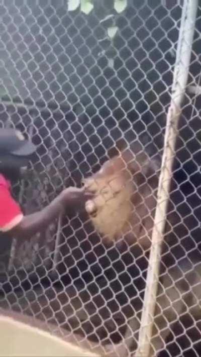 A well deserved finger loss