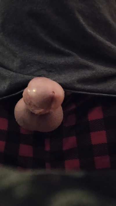 Double Ringed & Dripping 