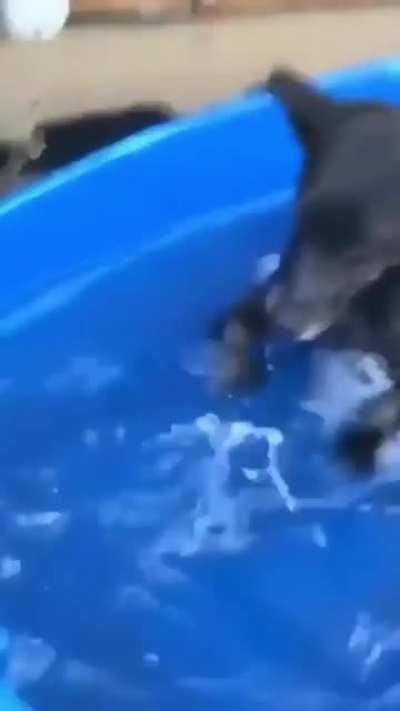 In this one, the water is Zooming around him!