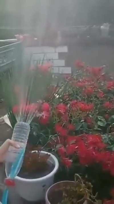 Who needs a watering can?