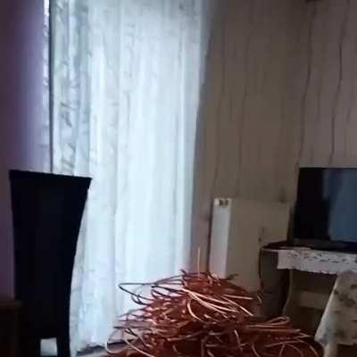 Captura pe ziua de azi