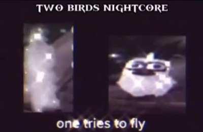 LesbianInsectBrothel - Video #6059