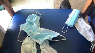 Have a happy and healthy Caturday, everyone!