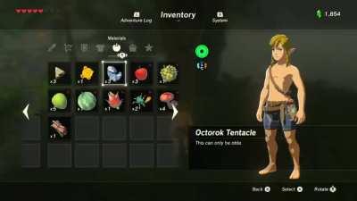 I just wanted to make some shelter from the rain in eventide Island