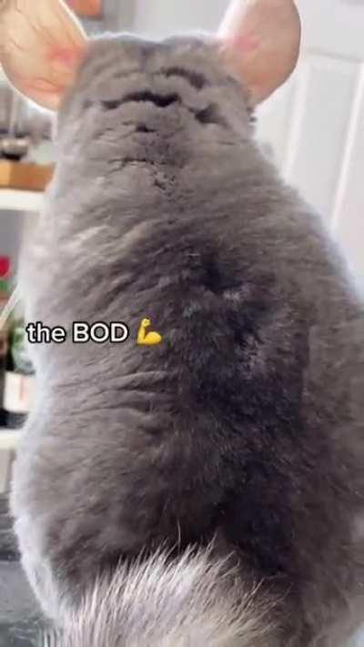 his wink made my day