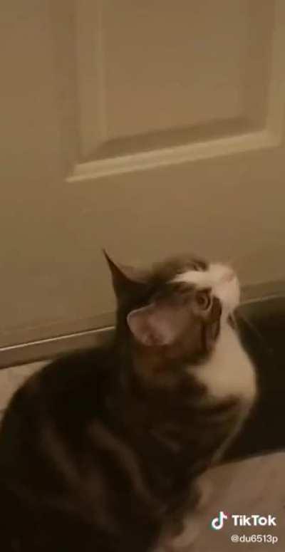 It's a corner and it's fuckin' EMPTY, bro!