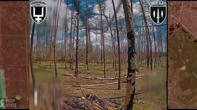 Ukrainian fiber optic drone flew trough a gap into another Russian bunker in the Serebryansky Forest (Luhansk region). Signum Battalion, May 2025 [Published 23.05.2025]