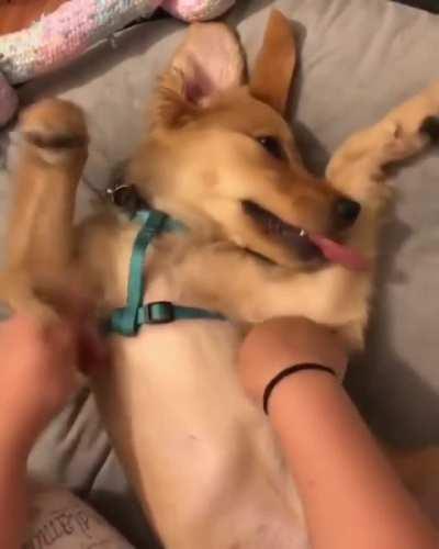 Preparation for the flight...