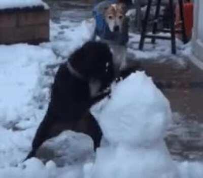 You yourself ran into trouble