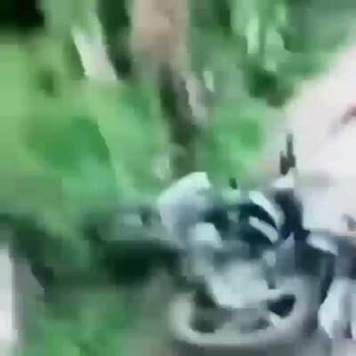 Why would you even do that?