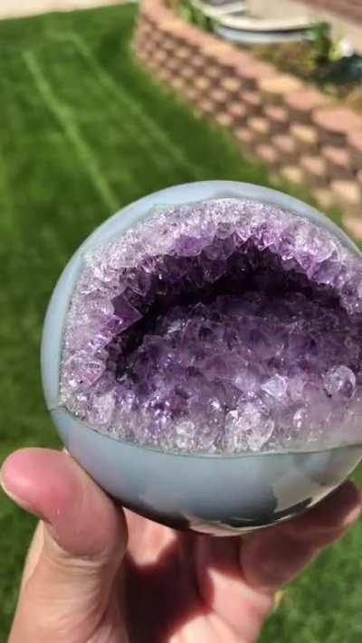 Just got this beauty today!! Looks like it wants to chomp my fingers off 😂😂