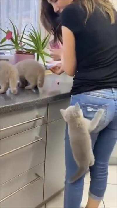 Three criminals make a daring escape