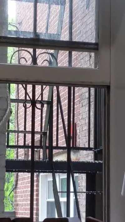 I'm loving the Baltimore Rain