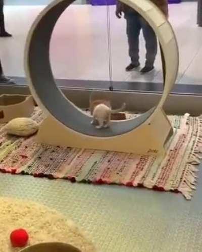 GRAVITY, what gravity?