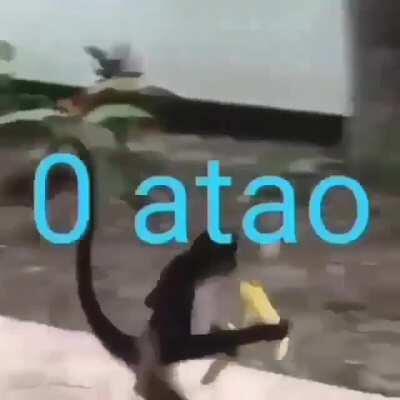 La vida del admin😎🤙