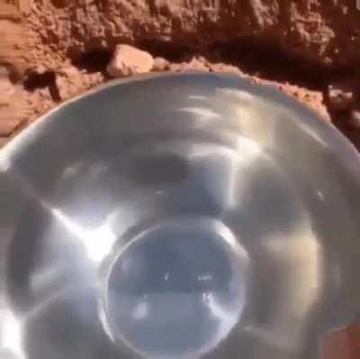 The water is crystal clear