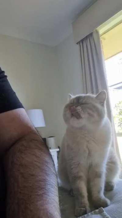 Chino being demanding as usual. Gotta play it cool and not give in too quickly.