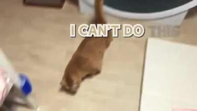 When you're a chonker it's a bit harder to keep up with New Year's resolutions