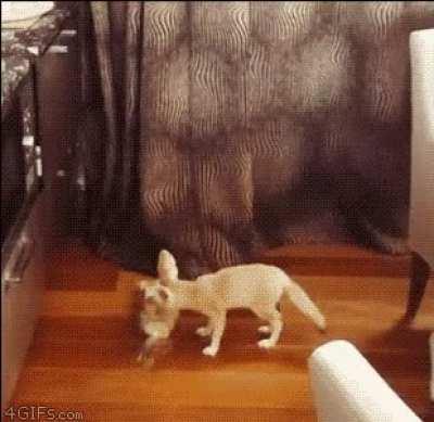 The great Bread Heist