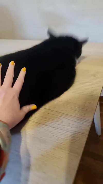 Lloyd has the most precious activation chirps