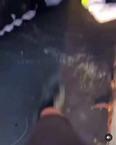 This fight didn’t end well 😬