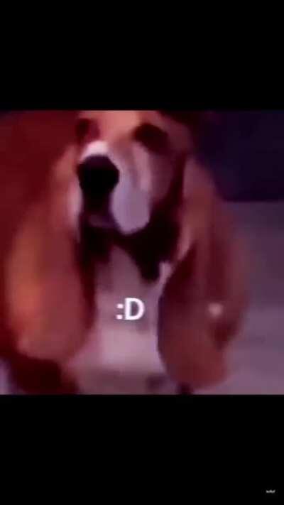 Have a great day strangers