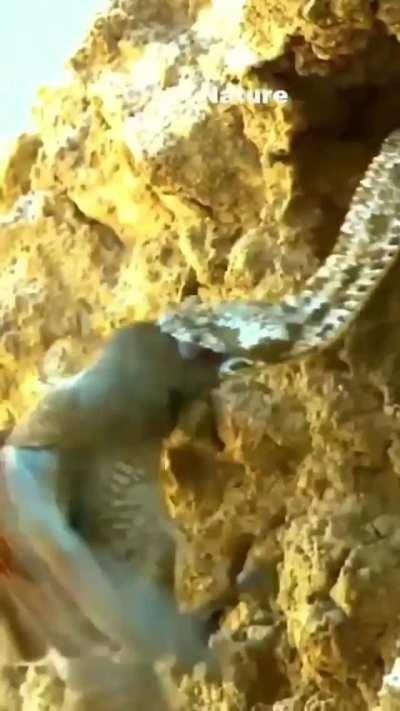 Flew into the wrong hole