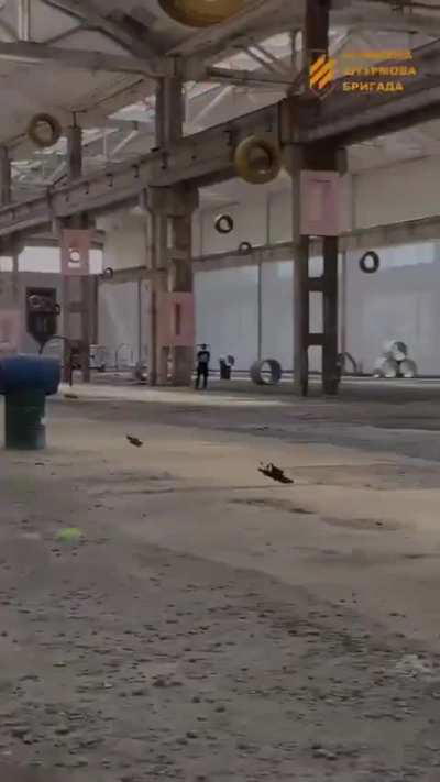 Open day at an FPV training site