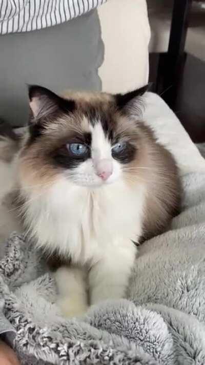 Very important business