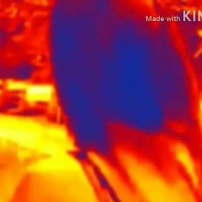 I like the coordination