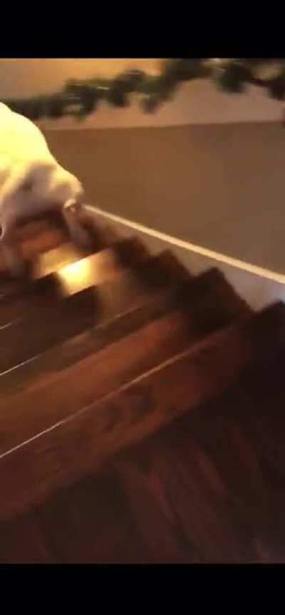 When the weedmans been 10 minutes away for 3 n half hours and he finally msg you “here”