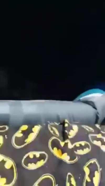 How did the turkey (gobble gobble) get into the semi?