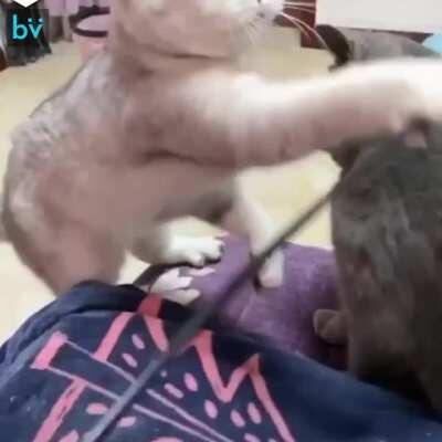 That escalated quickly.