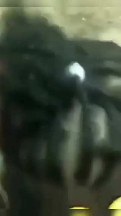 Niggas really gettin lit over kool aid