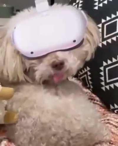 Thanks, I hate this look at the future of VR life