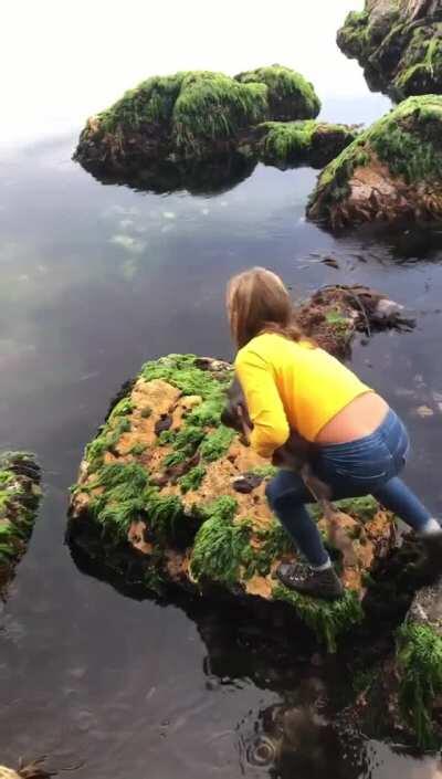 11-year-old girl rescuing a Draughtboard Shark that got wedged between two rocks at low tide. (Hobart, Tasmania)