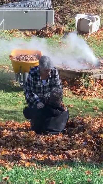 My silly parents playing in a leaf pile.