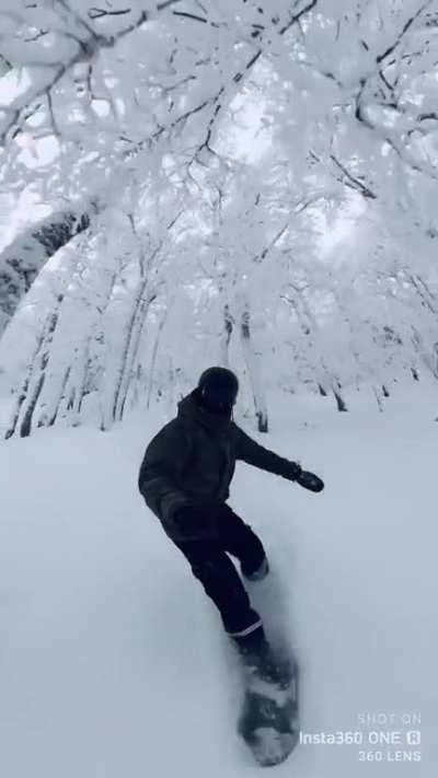 Riding in Bosnian woods