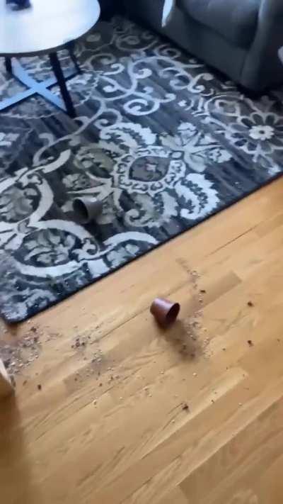 He Looks Innocent to Me