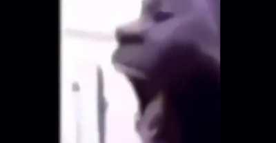 kyle stop calling me fat not cool man