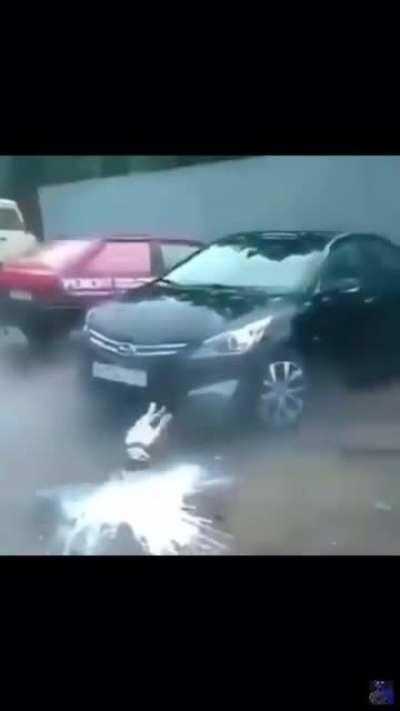 Dog goes into Shock after bottle Explodes (somehow).