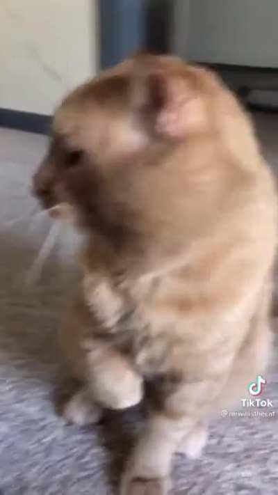 Made his life great!