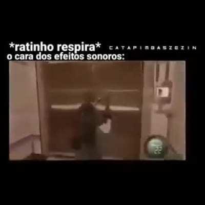 Ratinho