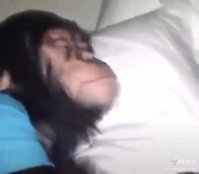 no se que poner xdddd